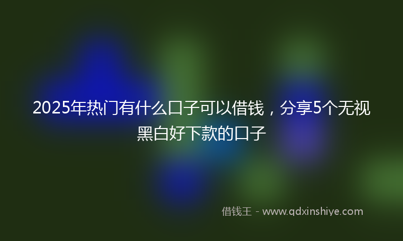 2025年热门有什么口子可以借钱，分享5个无视黑白好下款的口子