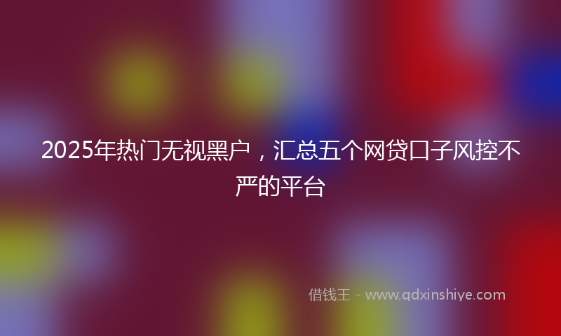 2025年热门无视黑户，汇总五个网贷口子风控不严的平台