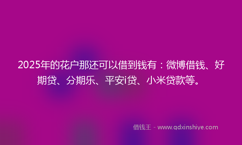 2025年的花户那还可以借到钱有：微博借钱、好期贷、分期乐、平安i贷、小米贷款等。