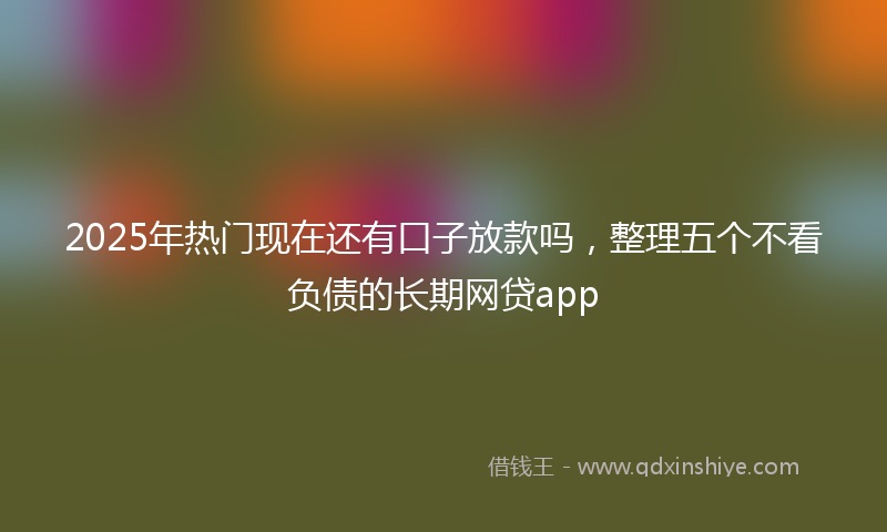 2025年热门现在还有口子放款吗，整理五个不看负债的长期网贷app