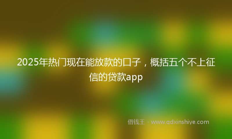 2025年热门现在能放款的口子，概括五个不上征信的贷款app