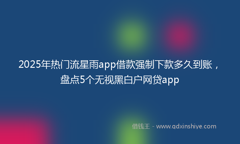 2025年热门流星雨app借款强制下款多久到账，盘点5个无视黑白户网贷app