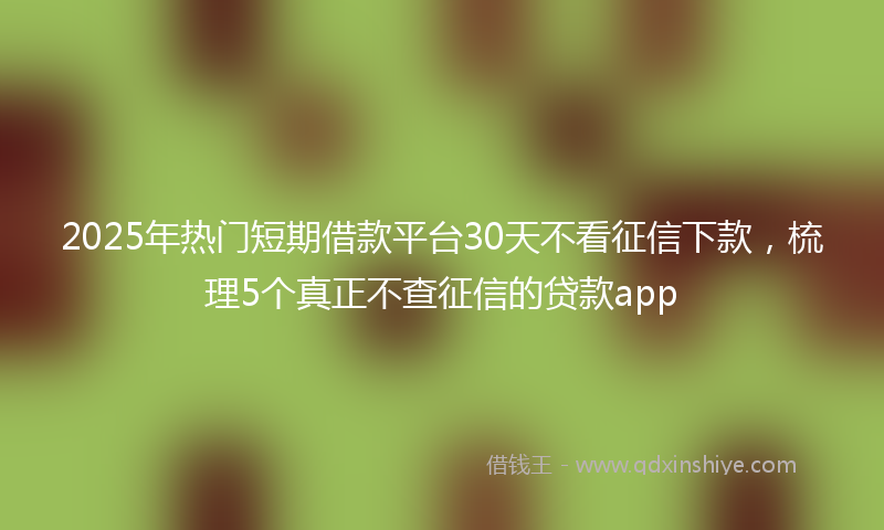 2025年热门短期借款平台30天不看征信下款，梳理5个真正不查征信的贷款app