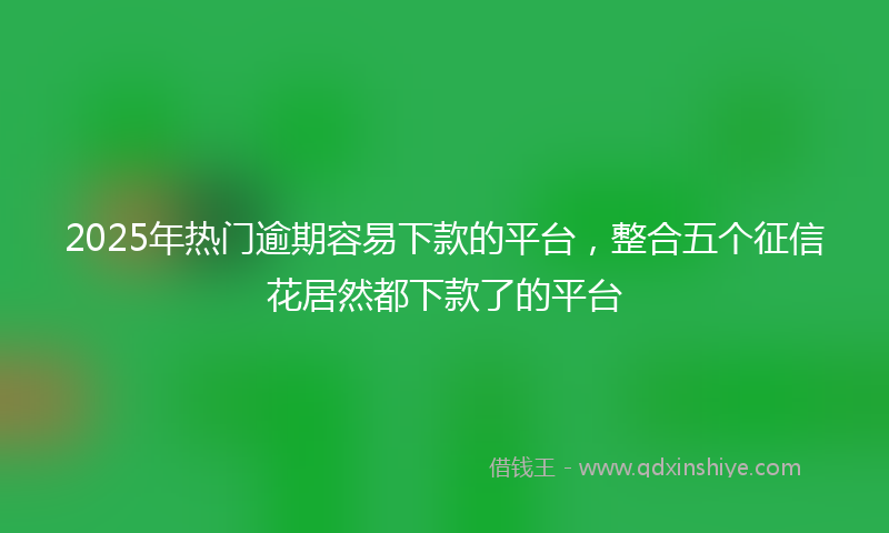 2025年热门逾期容易下款的平台，整合五个征信花居然都下款了的平台