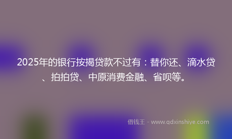 2025年的银行按揭贷款不过有：替你还、滴水贷、拍拍贷、中原消费金融、省呗等。