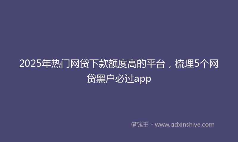 2025年热门网贷下款额度高的平台，梳理5个网贷黑户必过app