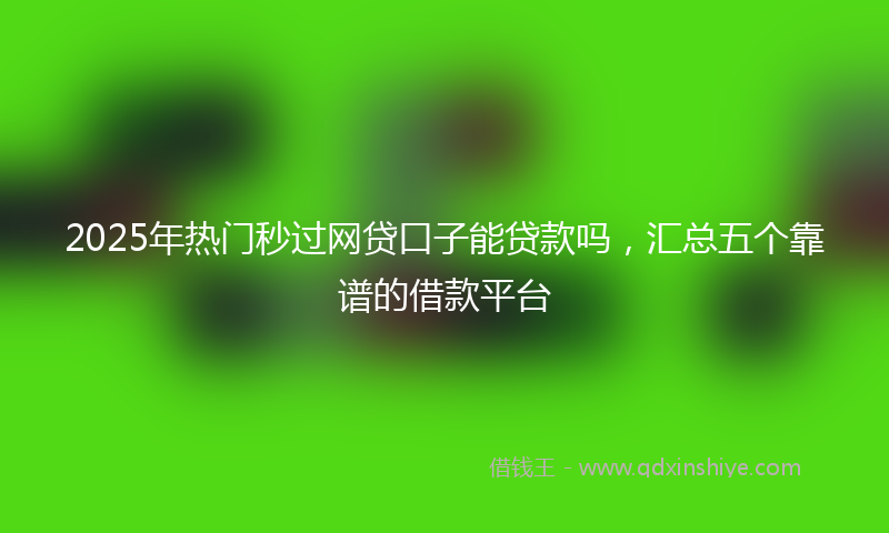 2025年热门秒过网贷口子能贷款吗，汇总五个靠谱的借款平台