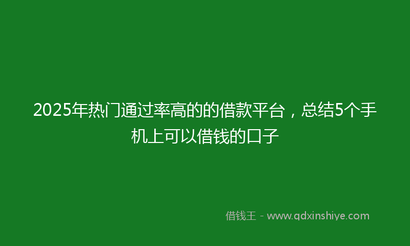 2025年热门通过率高的的借款平台，总结5个手机上可以借钱的口子