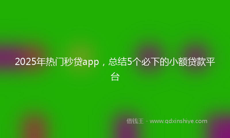 2025年热门秒贷app，总结5个必下的小额贷款平台