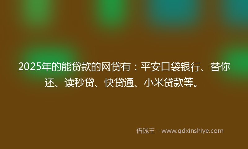 2025年的能贷款的网贷有：平安口袋银行、替你还、读秒贷、快贷通、小米贷款等。
