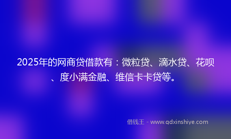 2025年的网商贷借款有：微粒贷、滴水贷、花呗、度小满金融、维信卡卡贷等。