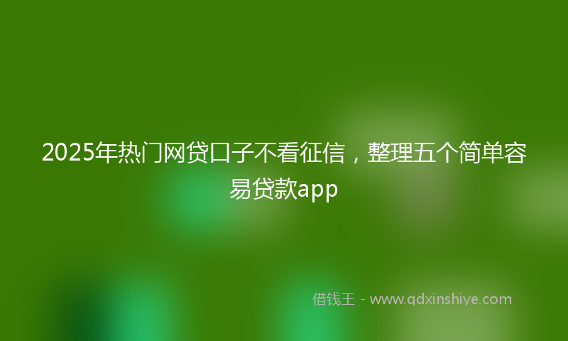 2025年热门网贷口子不看征信，整理五个简单容易贷款app
