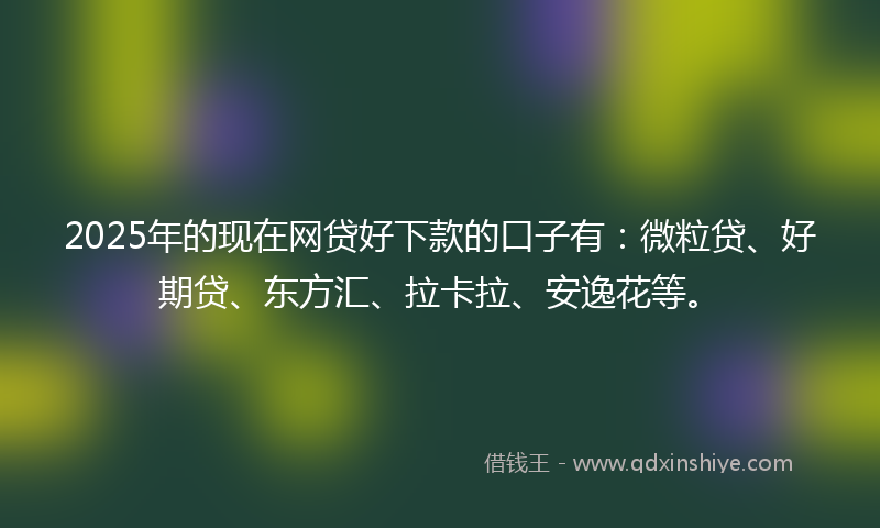 2025年的现在网贷好下款的口子有：微粒贷、好期贷、东方汇、拉卡拉、安逸花等。