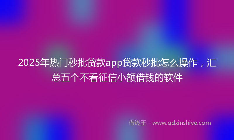 2025年热门秒批贷款app贷款秒批怎么操作，汇总五个不看征信小额借钱的软件
