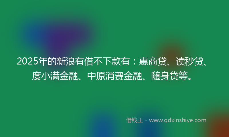 2025年的新浪有借不下款有：惠商贷、读秒贷、度小满金融、中原消费金融、随身贷等。