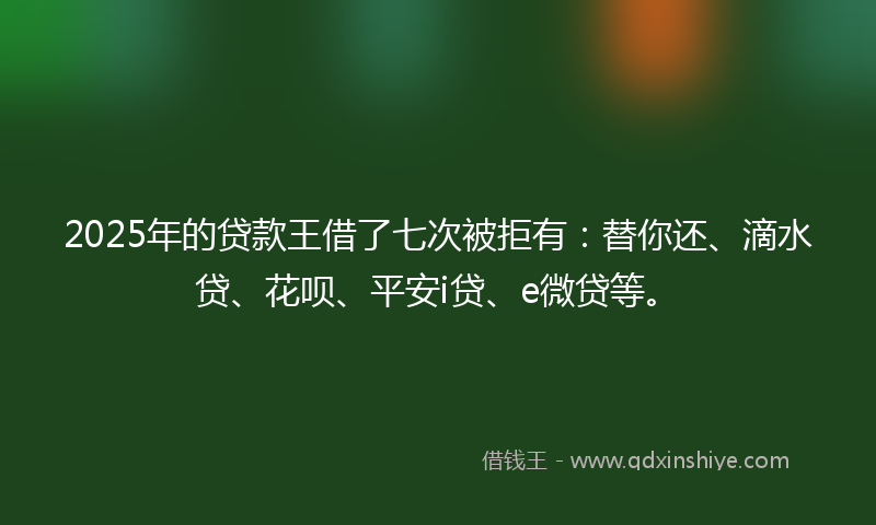 2025年的贷款王借了七次被拒有：替你还、滴水贷、花呗、平安i贷、e微贷等。
