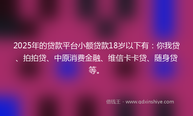 2025年的贷款平台小额贷款18岁以下有：你我贷、拍拍贷、中原消费金融、维信卡卡贷、随身贷等。