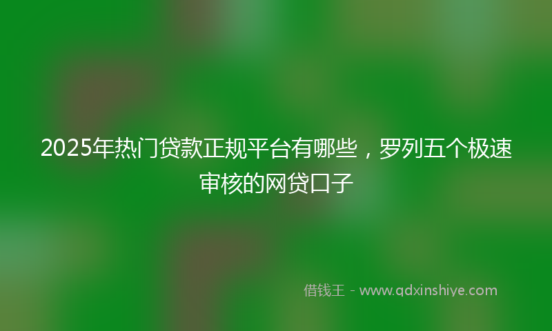2025年热门贷款正规平台有哪些，罗列五个极速审核的网贷口子