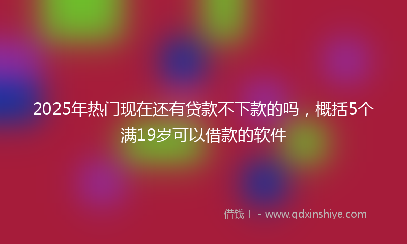 2025年热门现在还有贷款不下款的吗，概括5个满19岁可以借款的软件