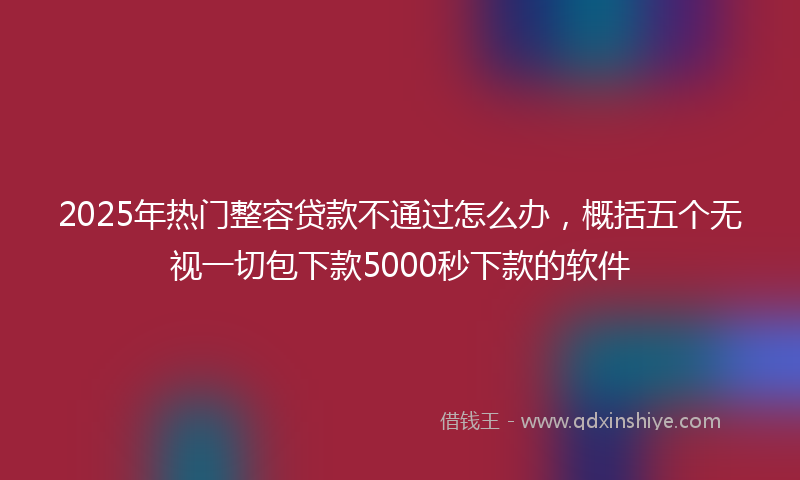 2025年热门整容贷款不通过怎么办，概括五个无视一切包下款5000秒下款的软件