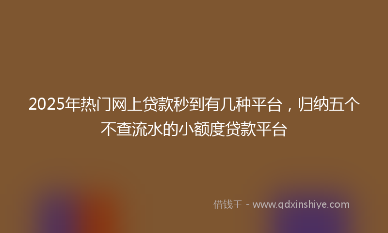 2025年热门网上贷款秒到有几种平台，归纳五个不查流水的小额度贷款平台
