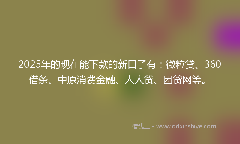 2025年的现在能下款的新口子有：微粒贷、360借条、中原消费金融、人人贷、团贷网等。