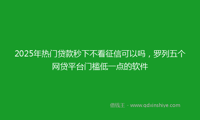 2025年热门贷款秒下不看征信可以吗，罗列五个网贷平台门槛低一点的软件