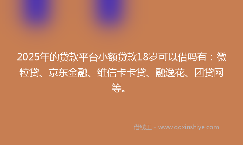 2025年的贷款平台小额贷款18岁可以借吗有：微粒贷、京东金融、维信卡卡贷、融逸花、团贷网等。