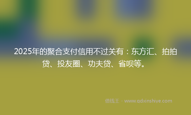2025年的聚合支付信用不过关有：东方汇、拍拍贷、投友圈、功夫贷、省呗等。