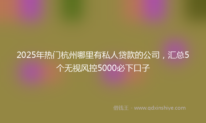 2025年热门杭州哪里有私人贷款的公司，汇总5个无视风控5000必下口子