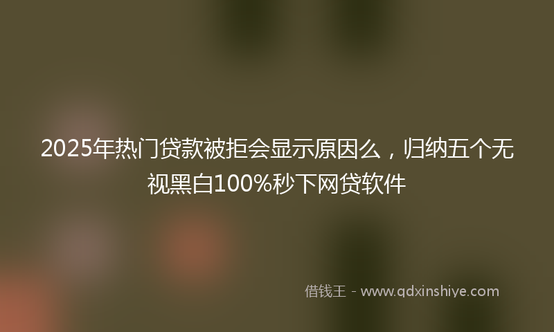 2025年热门贷款被拒会显示原因么，归纳五个无视黑白100%秒下网贷软件