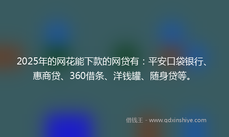 2025年的网花能下款的网贷有：平安口袋银行、惠商贷、360借条、洋钱罐、随身贷等。
