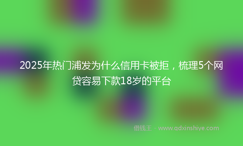 2025年热门浦发为什么信用卡被拒，梳理5个网贷容易下款18岁的平台