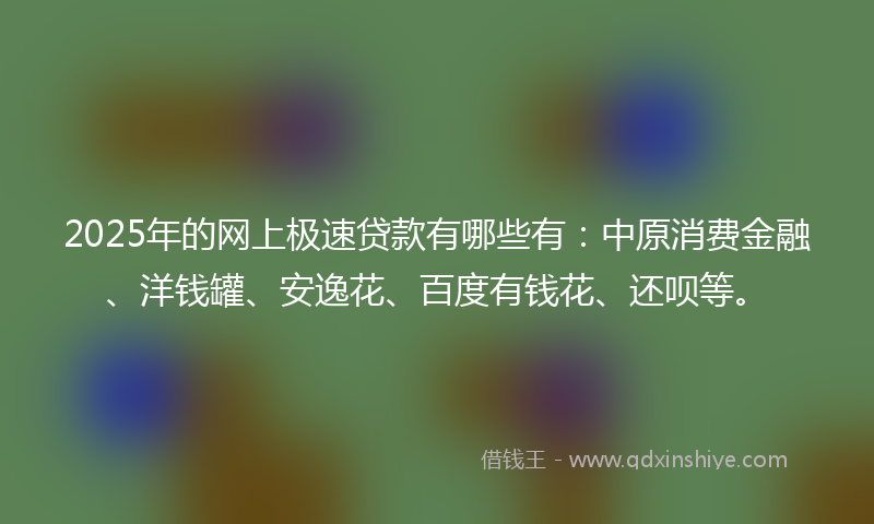 2025年的网上极速贷款有哪些有：中原消费金融、洋钱罐、安逸花、百度有钱花、还呗等。