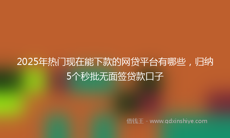 2025年热门现在能下款的网贷平台有哪些，归纳5个秒批无面签贷款口子