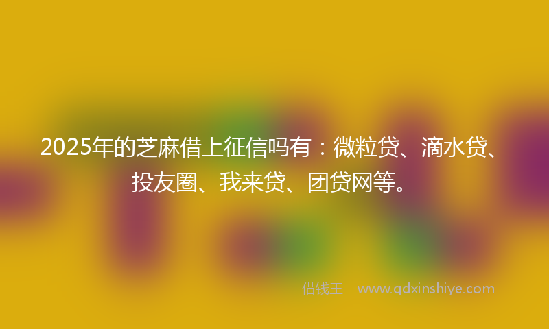 2025年的芝麻借上征信吗有：微粒贷、滴水贷、投友圈、我来贷、团贷网等。