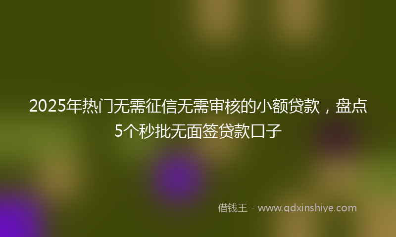 2025年热门无需征信无需审核的小额贷款，盘点5个秒批无面签贷款口子