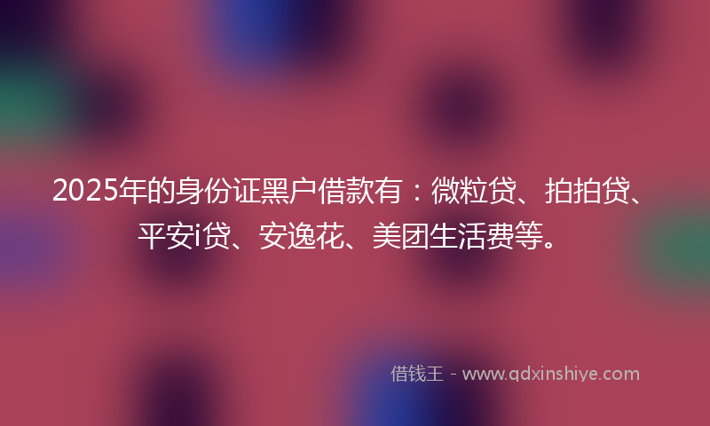 2025年的身份证黑户借款有：微粒贷、拍拍贷、平安i贷、安逸花、美团生活费等。