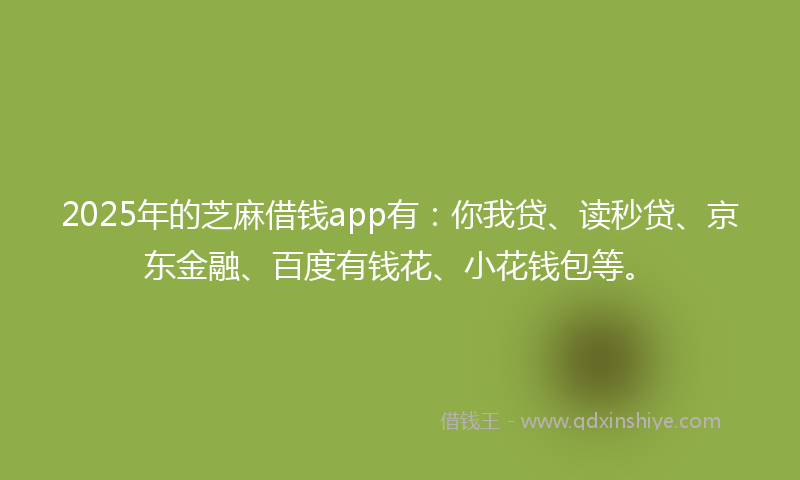 2025年的芝麻借钱app有：你我贷、读秒贷、京东金融、百度有钱花、小花钱包等。