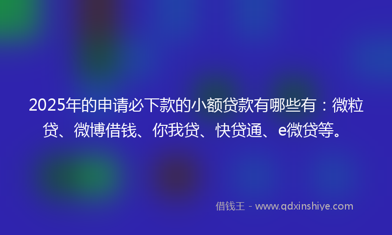 2025年的申请必下款的小额贷款有哪些有：微粒贷、微博借钱、你我贷、快贷通、e微贷等。
