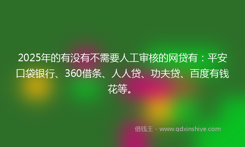 2025年的有没有不需要人工审核的网贷有：平安口袋银行、360借条、人人贷、功夫贷、百度有钱花等。