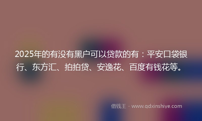 2025年的有没有黑户可以贷款的有：平安口袋银行、东方汇、拍拍贷、安逸花、百度有钱花等。