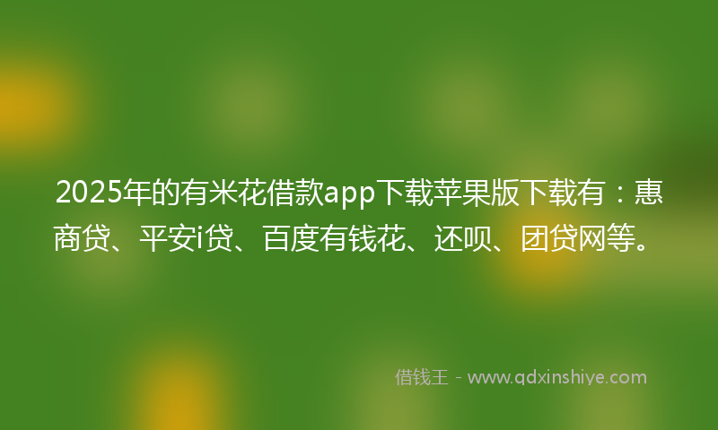 2025年的有米花借款app下载苹果版下载有：惠商贷、平安i贷、百度有钱花、还呗、团贷网等。