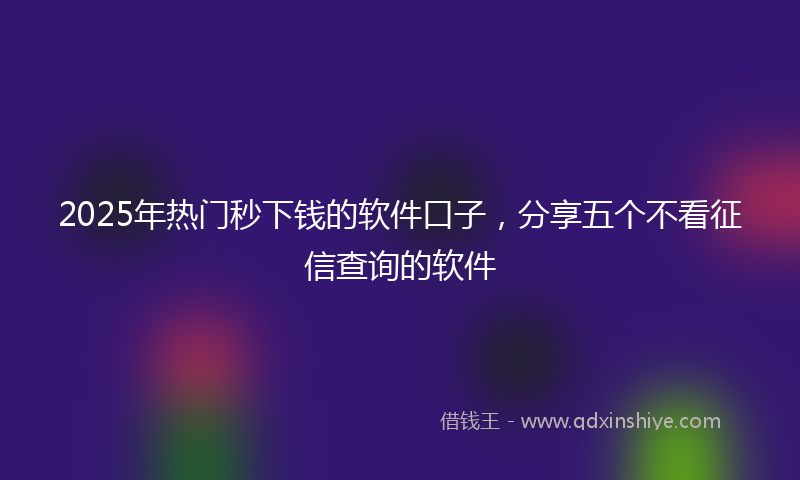 2025年热门秒下钱的软件口子，分享五个不看征信查询的软件