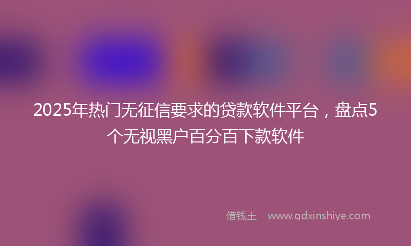2025年热门无征信要求的贷款软件平台，盘点5个无视黑户百分百下款软件