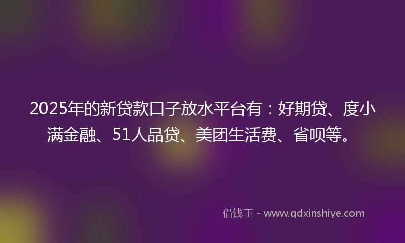 2025年的新贷款口子放水平台有：好期贷、度小满金融、51人品贷、美团生活费、省呗等。