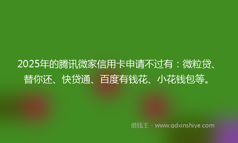 2025年的腾讯微家信用卡申请不过有：微粒贷、替你还、快贷通、百度有钱花、小花钱包等。