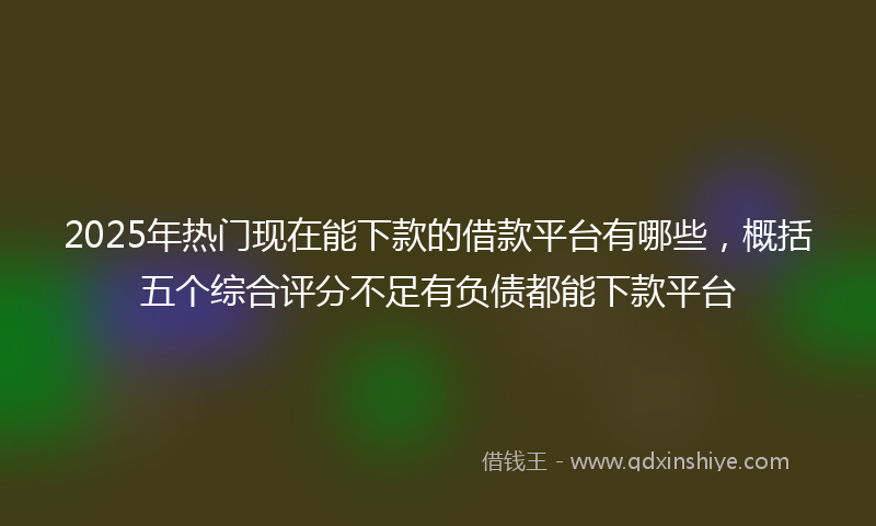 2025年热门现在能下款的借款平台有哪些，概括五个综合评分不足有负债都能下款平台