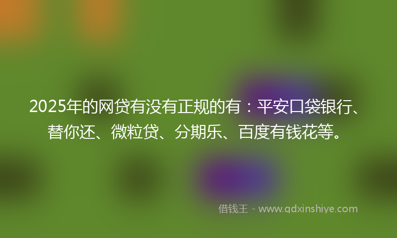 2025年的网贷有没有正规的有：平安口袋银行、替你还、微粒贷、分期乐、百度有钱花等。