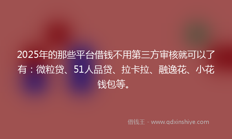 2025年的那些平台借钱不用第三方审核就可以了有：微粒贷、51人品贷、拉卡拉、融逸花、小花钱包等。